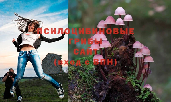 трава Арсеньев