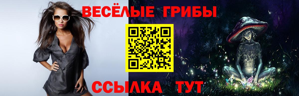 Псилоцибиновые грибы Psilocybe  Вход с VPN  Лесосибирск 