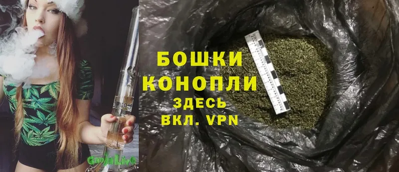 Бошки Шишки OG Kush  где можно купить   Лесосибирск 